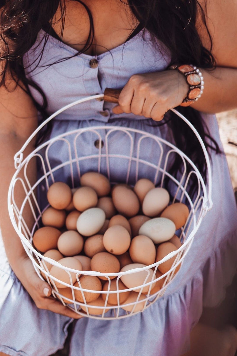 Welcome to Sweet Maple Farms