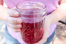 Load image into Gallery viewer, Wild Violet Jelly 16 oz. Jar