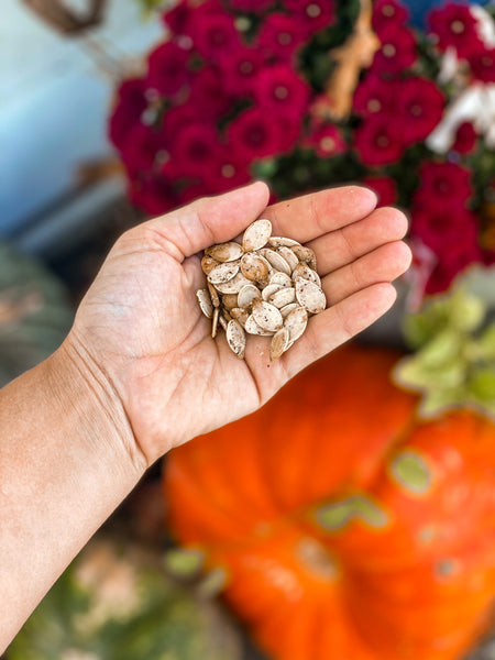 No-Fail Roasted Pumpkin Seeds + Benefits
