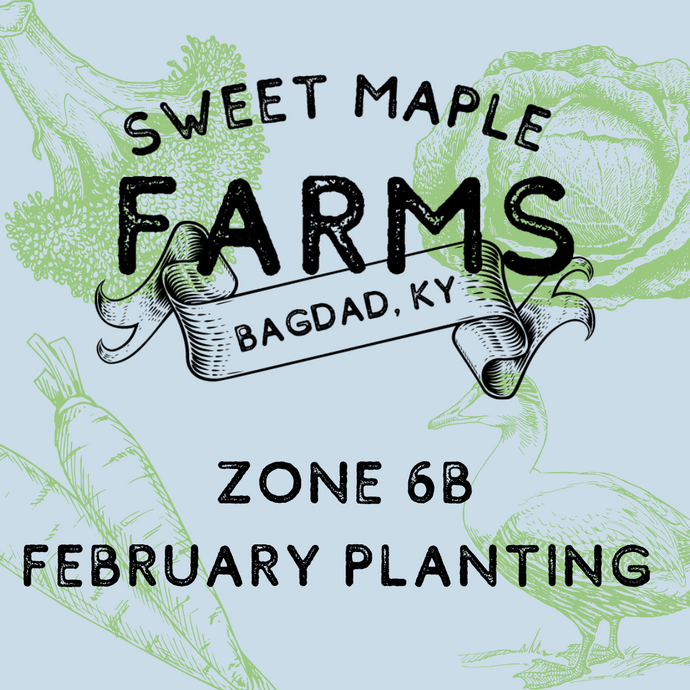 Starting Seeds Zone 6b: February
