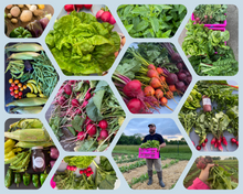 Load image into Gallery viewer, 2024 6-Week Vegetable CSA Share Package
