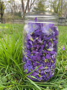 Wild Violet Jelly 16 oz. Jar